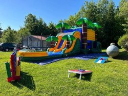 IMG 6115202 1715962567 Palms Splash Tropical Dual Lane Combo (Wet or Dry)