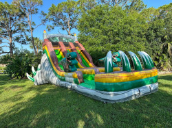 IMG 8077 1745026447 20ft Dino island Double Lane (Deep XL Pool)