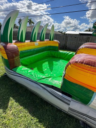 IMG 8080 1745026448 20ft Dino island Double Lane (Deep XL Pool)